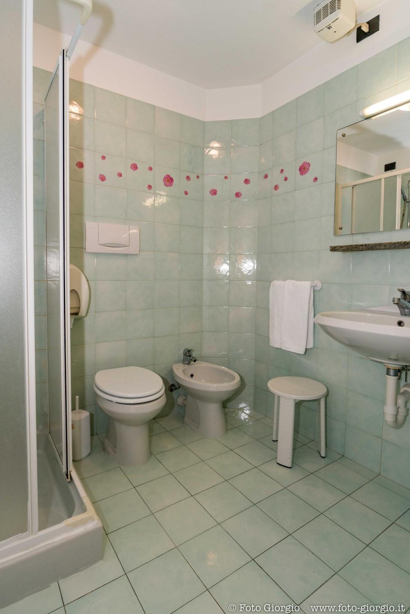 Hotel Daina Dalmine Rom bilde
